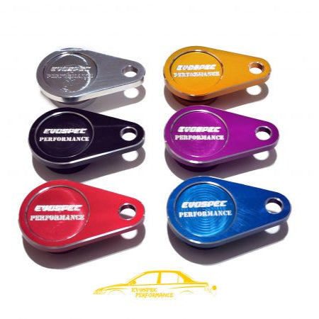 Evospec 3000GT Rear Diff RWS Billet Delete Plug